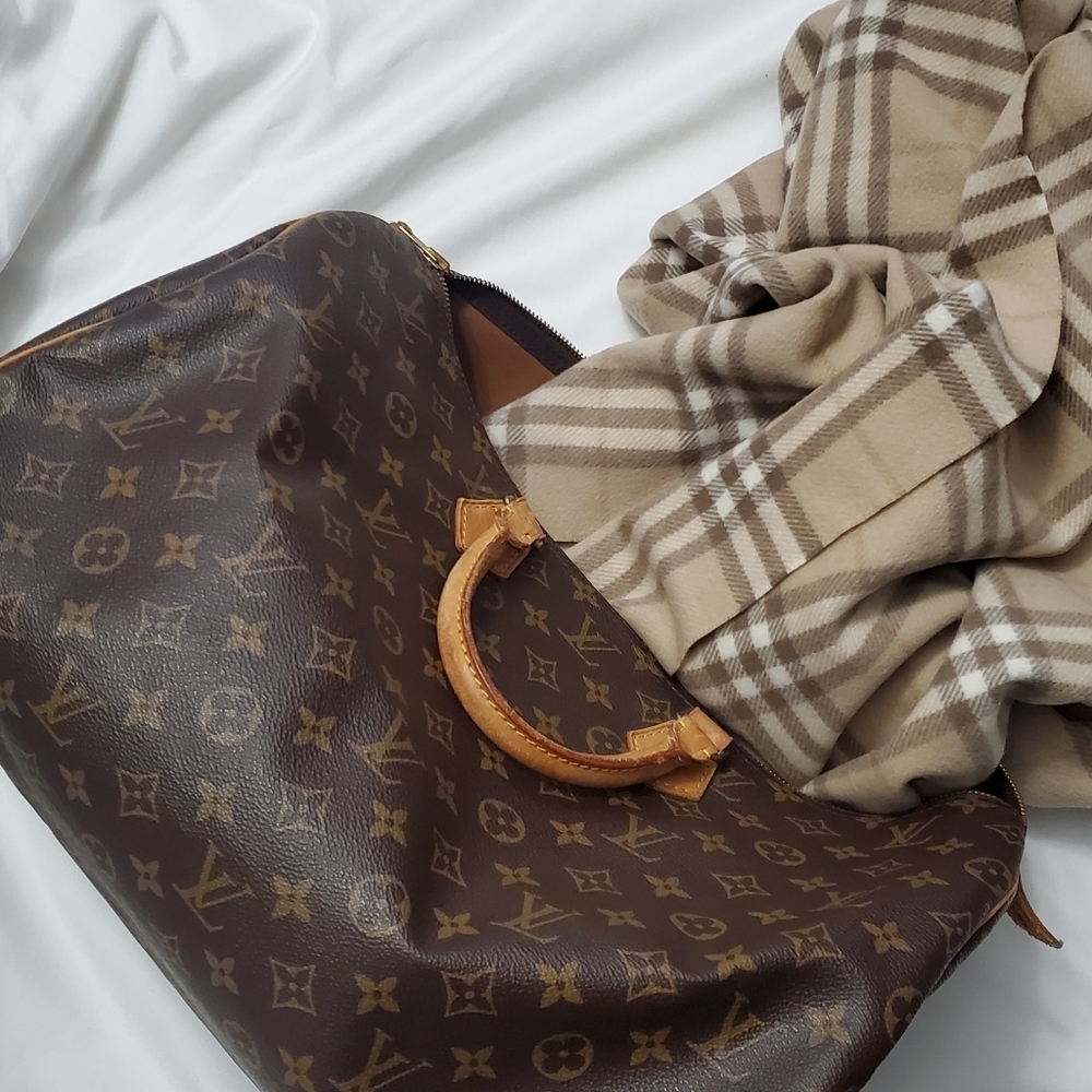 Louis Vuitton Speedy 40 Travel Top Handle Bag